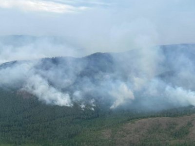 Крупный лесной пожар в Белорецком районе Башкирии тушат двумя группами