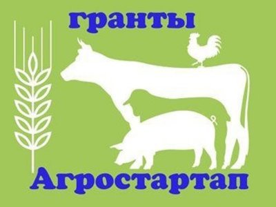 В Башкирии начинается приём заявок на конкурс «Агростартап»