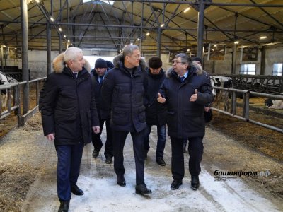 Радий Хабиров посетил молочно-товарную ферму племзавода «Ленина» в Башкирии