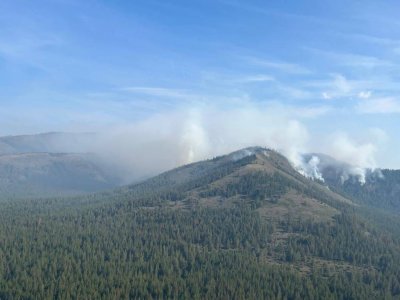 В Башкирии продолжают действовать пять лесных пожаров