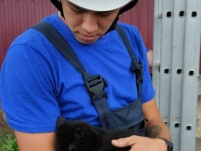 В Башкирии спасатели помогли котенку, застрявшему на дереве