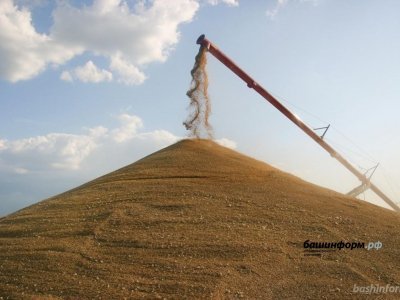 За январь Башкирия реализовала на российском рынке 20 тысяч тонн зерна