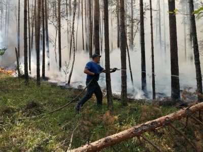 В Башкирии ликвидирован лесной пожар на территории Белорецкого района