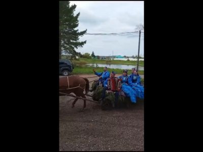 Жители Башкирии приехали на выборы в повозке с лошадью