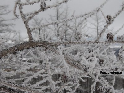 В некоторых районах Башкирии в ближайшие дни похолодает до 28 градусов мороза