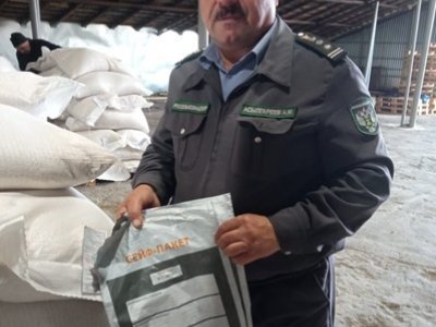 Аграрии Чишминского района Башкирии начали поставку кукурузы на внутренний рынок