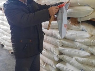 Башкирия экспортировала в Казахстан более 400 тонн семян подсолнечника