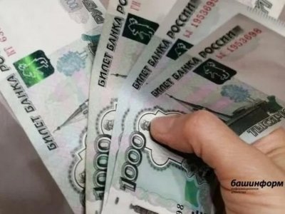 В Башкирии все обратившиеся за новогодними выплатами семьи мобилизованных получили деньги