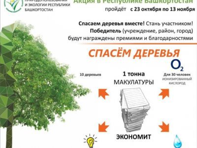 Жителей Башкирии приглашают поучаствовать в акции «Сдай макулатуру — спаси дерево!»