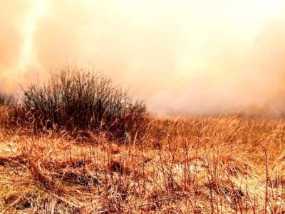 В Башкирии за прошедшие сутки зарегистрировано 3 лесных пожара