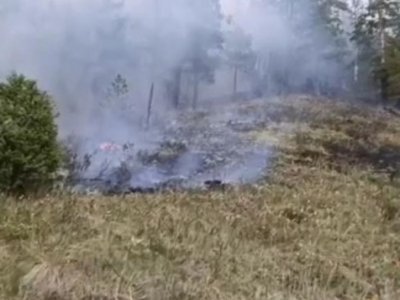 В Башкирии локализованы три очага лесных пожаров - МЧС