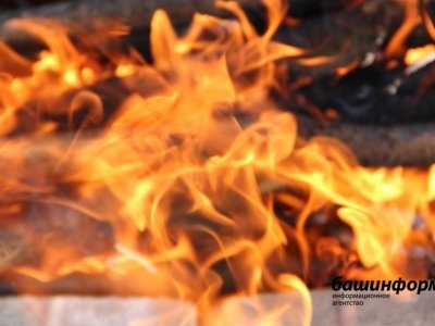 МЧС по Башкирии предупреждает о чрезвычайной пожароопасности в 33-градусную жару