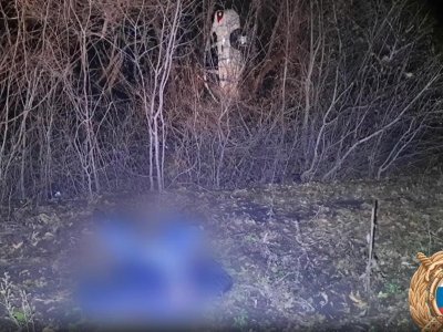 В Башкирии опрокинувшаяся «Лада Гранта» застряла в деревьях: водитель погиб