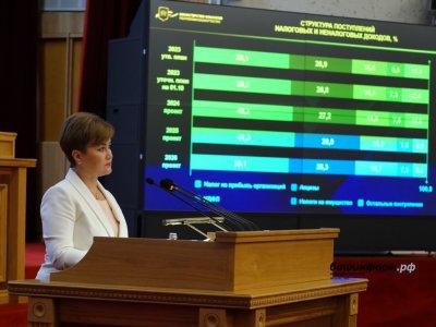 Парламентарии Башкирии приняли в первом чтении бюджет региона на 2024 год
