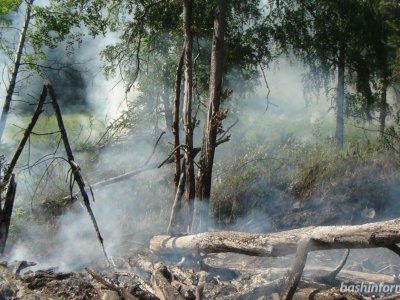 С начала года в Башкирии зафиксировано более двух тысяч пожаров