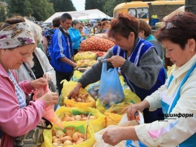 В 35 муниципалитетах Башкирии пройдут фермерские ярмарки