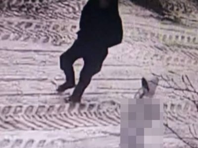 В Башкирии педофил-рецидивист изнасиловал маленькую девочку