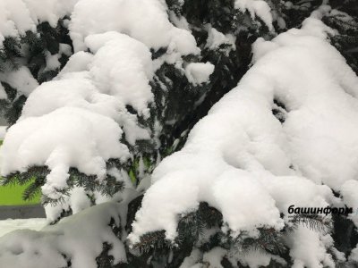 Синоптики сообщили, когда в Башкирии установится снежный покров