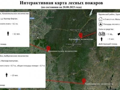 В Башкирии за сутки произошло четыре лесных пожара