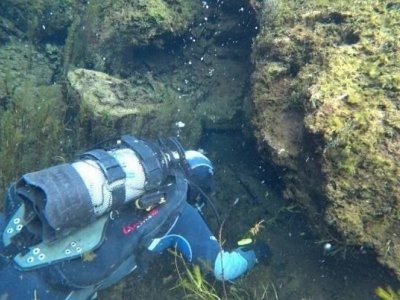 В Башкирии благодаря карпам кои обнаружили новую подводную пещеру
