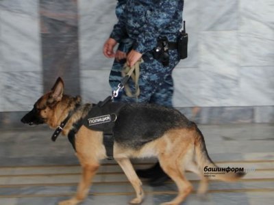 В Уфе из торгового центра «Мир» экстренно эвакуировали посетителей и сотрудников