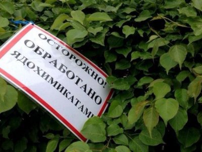 В Башкирии 11 компаний обрабатывали поля пестицидами без предупреждения