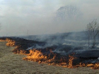 В Башкирии горит сухая трава: зарегистрировано 43 пожара
