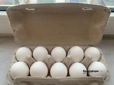 В России отменили таможенные пошлины на ввоз куриных яиц