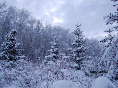 В ближайшие дни в Башкирии сохранится зимний характер погоды