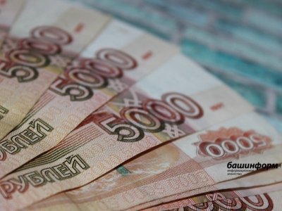 Жители Башкирии получили 607 млн рублей по социальным контрактам