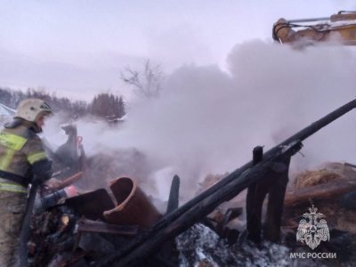 В Иглинском районе Башкирии при пожаре массово погиб домашний скот
