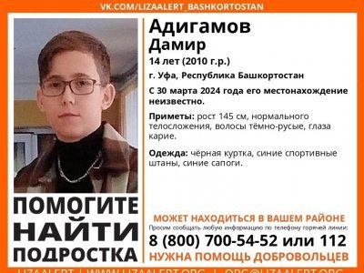 Спасатели Уфы рассказали о 66-м дне поисков пропавшего Дамира Адигамова