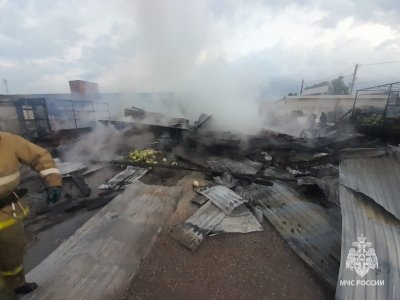 В Башкирии сгорели грузовик и ангар с арбузами