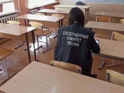 В Башкирии возбудили уголовное дело на работников школы села Иглино, где произошла поножовщина
