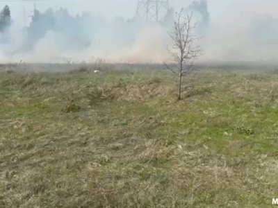 В Башкирии за сутки произошло 53 пожара, 36 из них - горение сухой травы и мусора