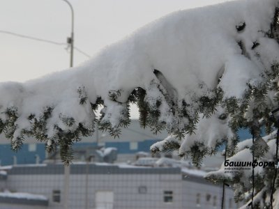 МЧС по Башкирии предупреждает об усилении ветра и метели