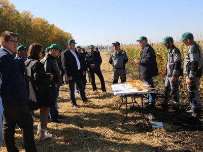 АПК Башкирии переориентируется на птицеводство и собственное производство семян