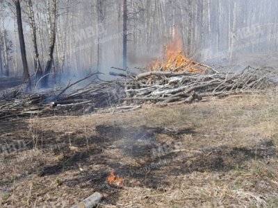 Полицейские установили предполагаемых виновников пожаров на территории Зилаирского лесничества