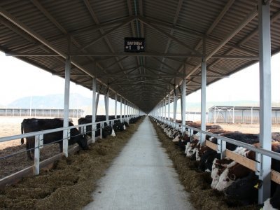 Реализуемые в Башкирии инвестпроекты позволят увеличить производство мяса на 7%