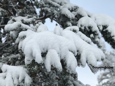 В Башкирии начало февраля будет снежным и морозным
