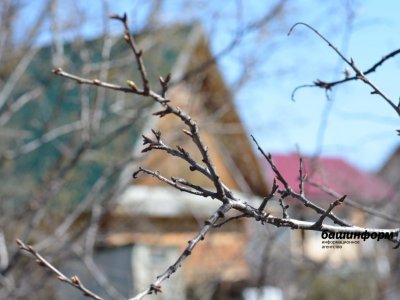 МЧС по Башкирии предупреждает о неблагоприятной погоде