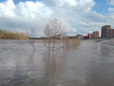 Вода уже в 19 муниципалитетах: в Башкирии набирает обороты весенний паводок