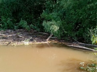 В Уфе спасатели подвели итоги 132-го дня поиска бесследно пропавшего подростка