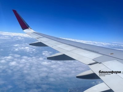 Самолет из Сочи в Уфе сделал вынужденную посадку из-за заболевшего пассажира