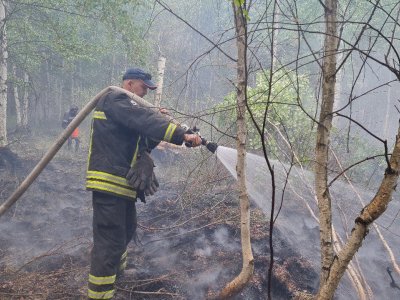 В Калтасинском районе уже третий день тушат масштабный лесной пожар