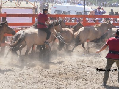 Глава Башкирии посетил площадки международного фестиваля лошадей башкирской породы «Башҡорт аты»
