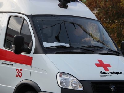 Жителю Башкирии сосед проломил череп газонокосилкой