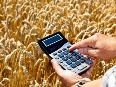 В Башкирии компенсируют производителям зерна почти 600 млн рублей