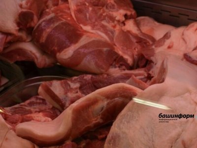 Доля говядины от производителей Башкирии в школьных столовых выросла на 84,3%
