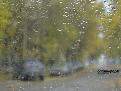 Жителей Башкирии ждут дождливые выходные